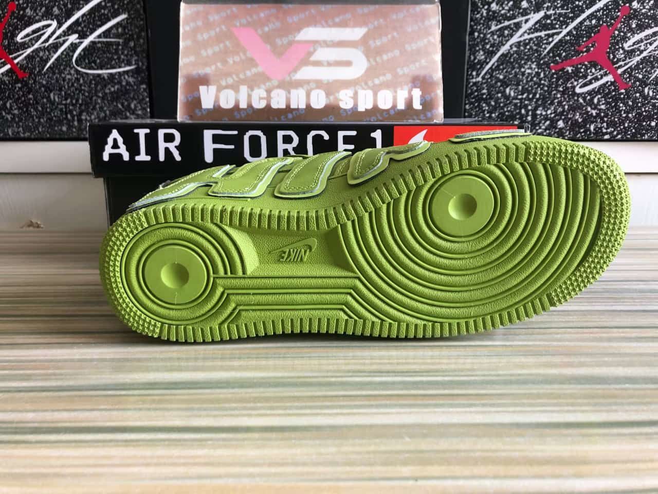 Af1 x Cactus Plant Flea