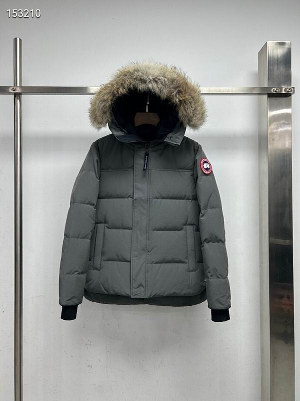 Canada Goose